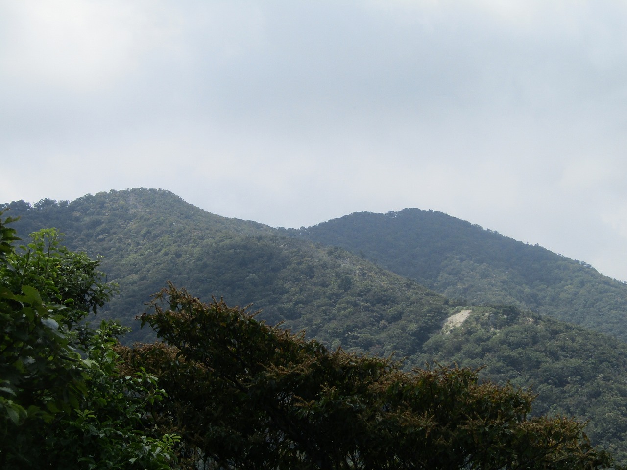 ヤケ山からヤケオ山と釈迦岳