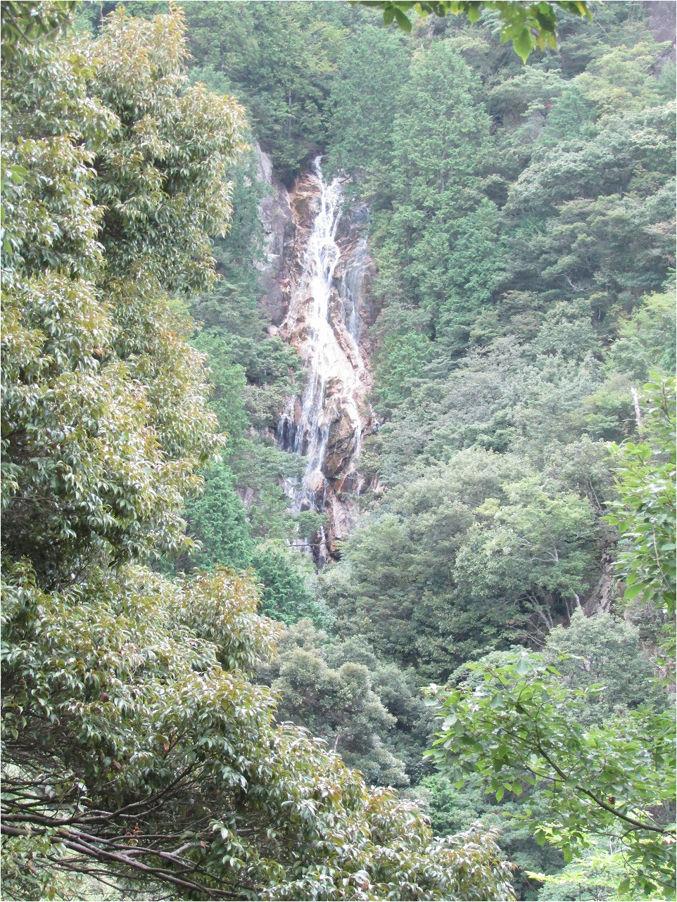 一段落から楊梅の滝の雄滝