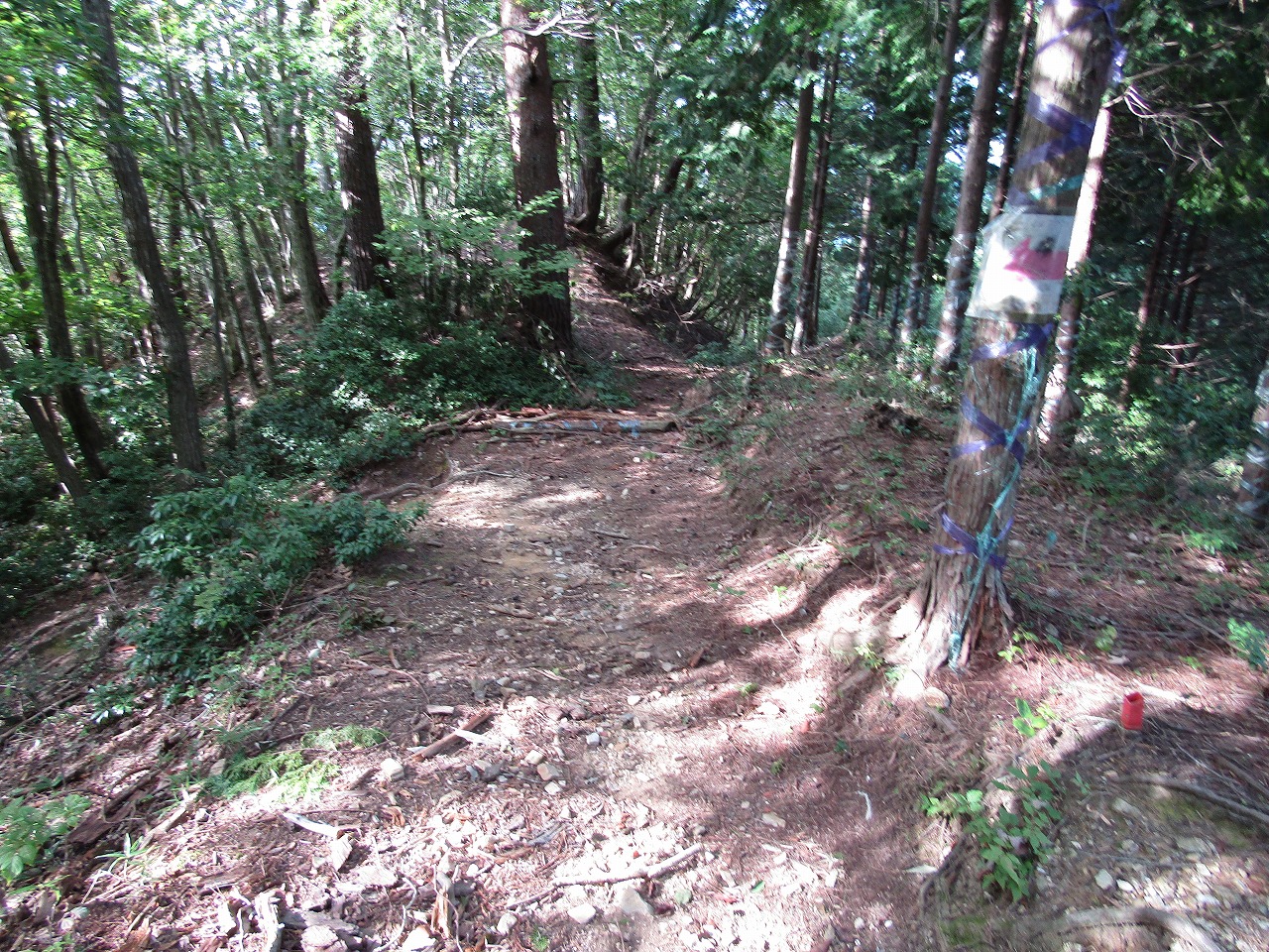 グリーンパーク思い出の森への道、正規ルートは左へ