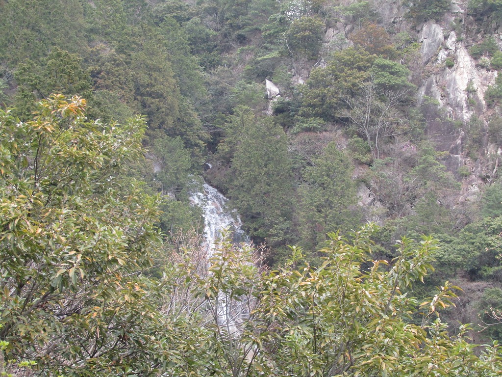 滝見台からの壁
