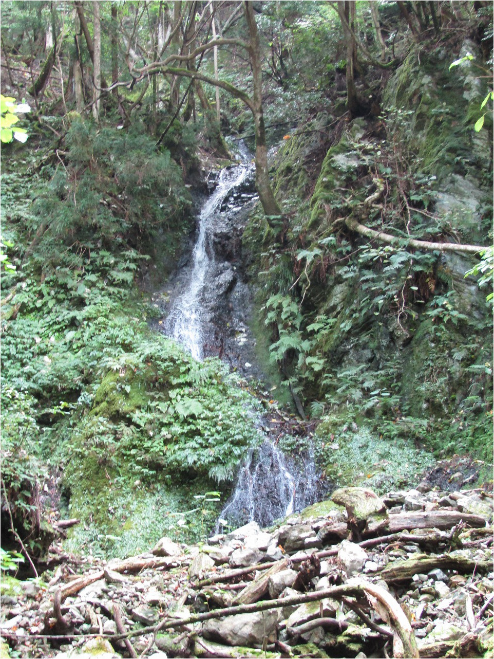 ワサビ大滝の右側にかかる滝