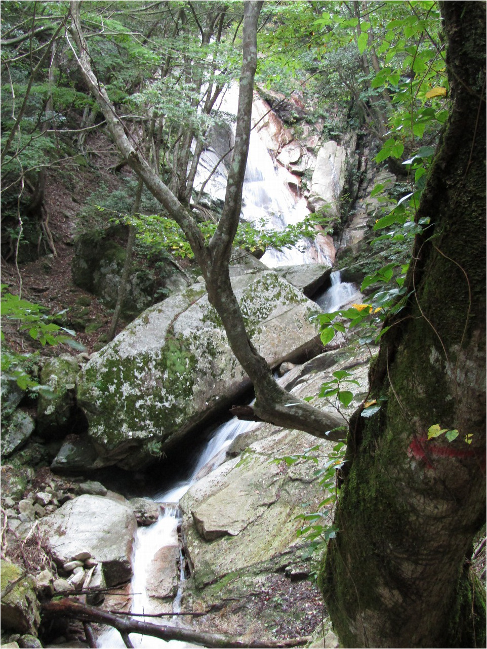 スベリ石下の滝