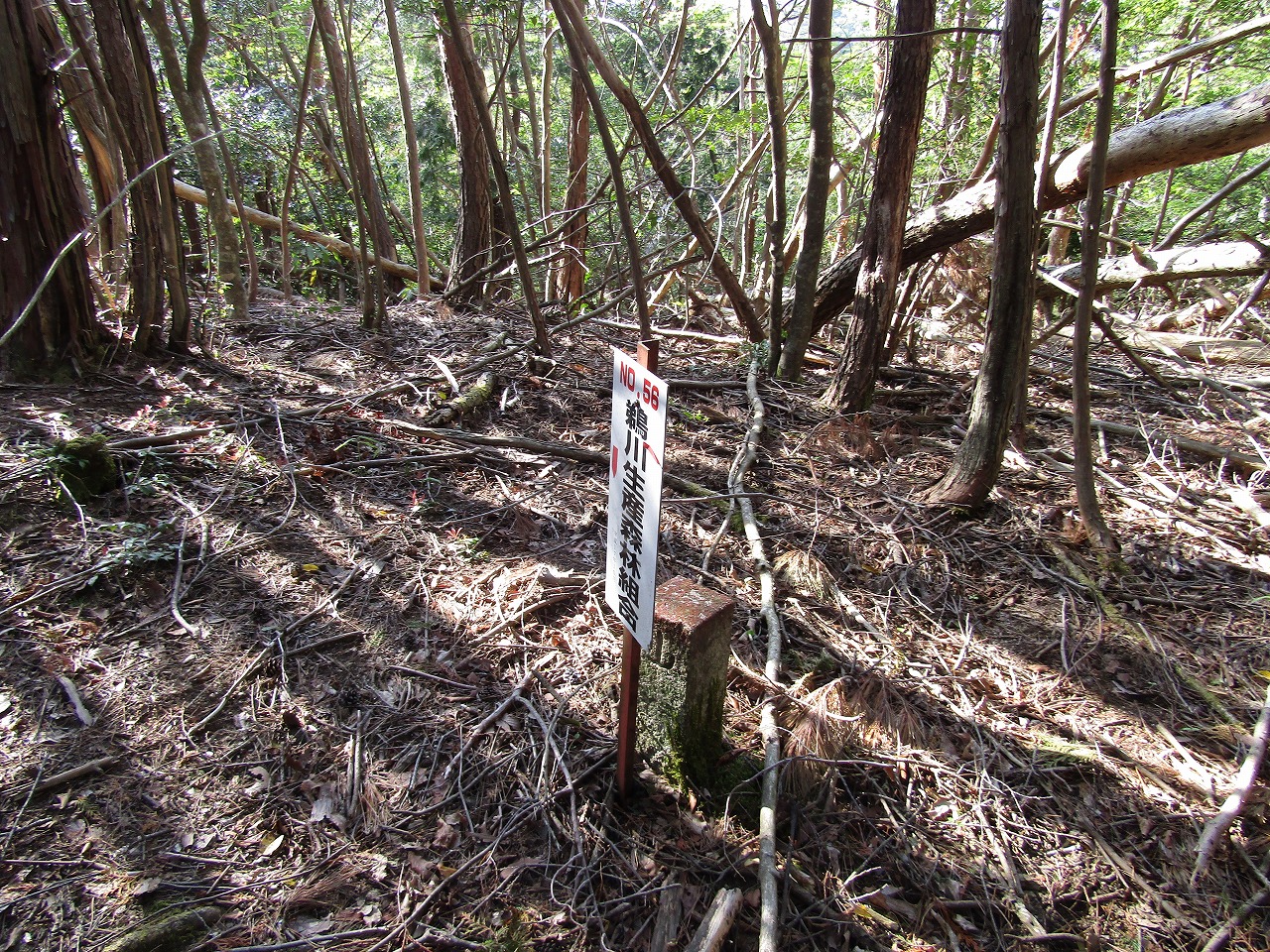 鵜川生産森林組合の看板、N0,56
