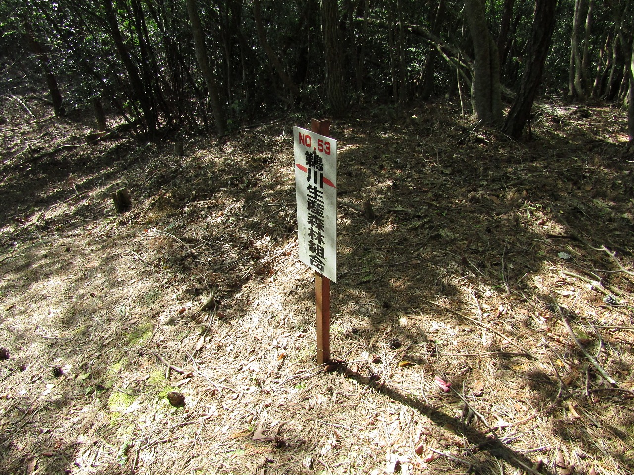 鵜川生産森林組合の看板、N0,53