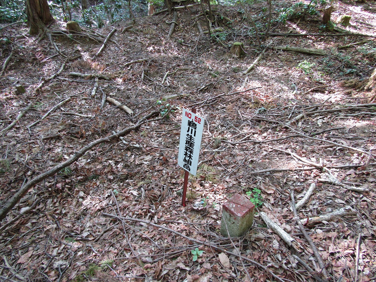 鵜川生産森林組合の看板、N0,52
