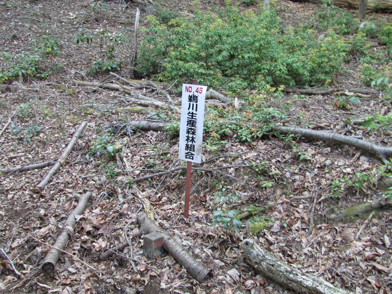 鵜川生産森林組合の看板、N0,45