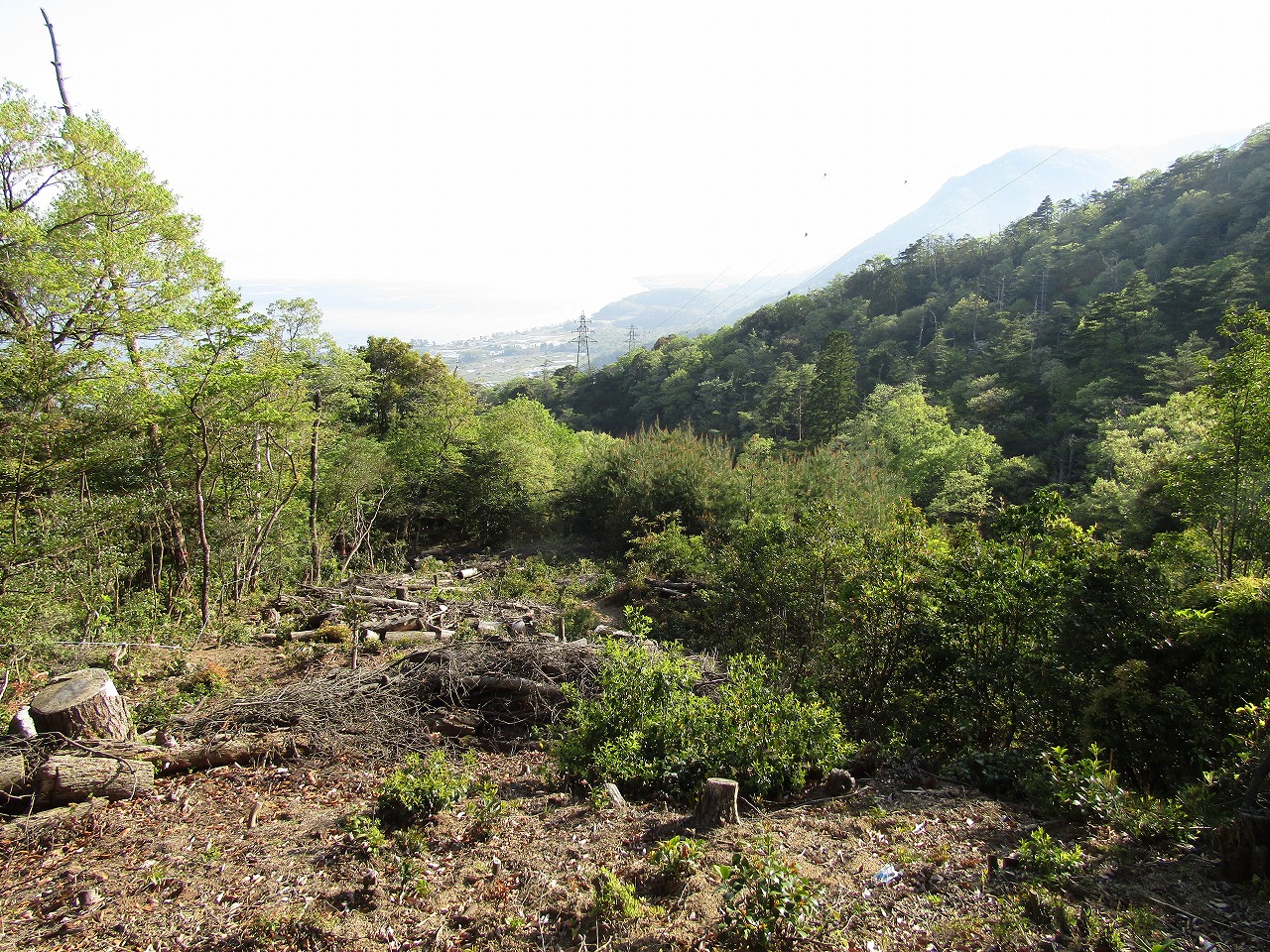 見張山～打下城間の道につながる登山道から大津市方面の景色