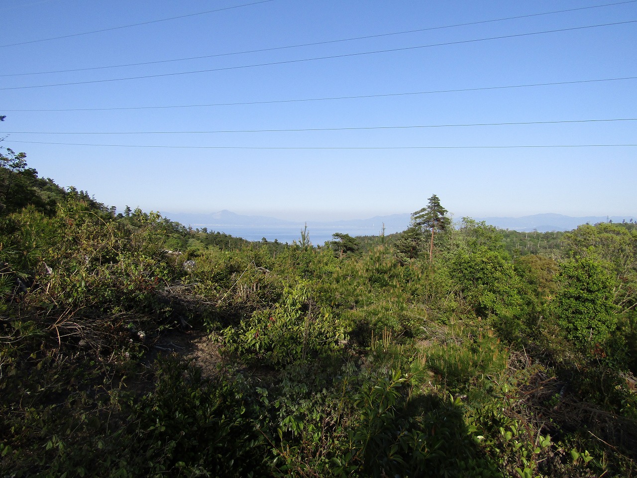 見張山～打下城間の道につながる登山道から近江八幡市方面の景色