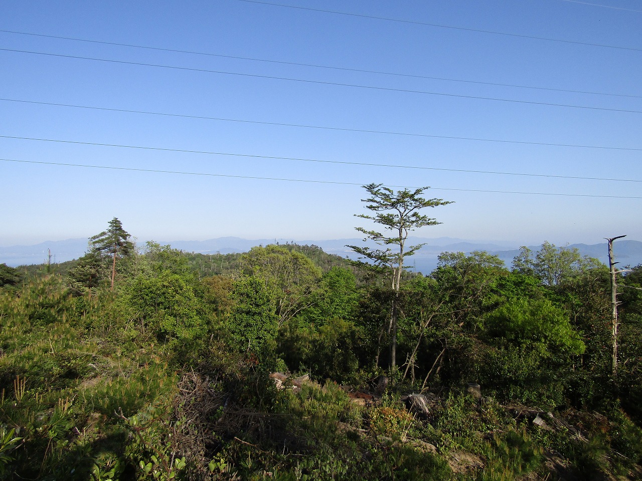 見張山～打下城間の道につながる登山道から近江八幡市方面の景色２