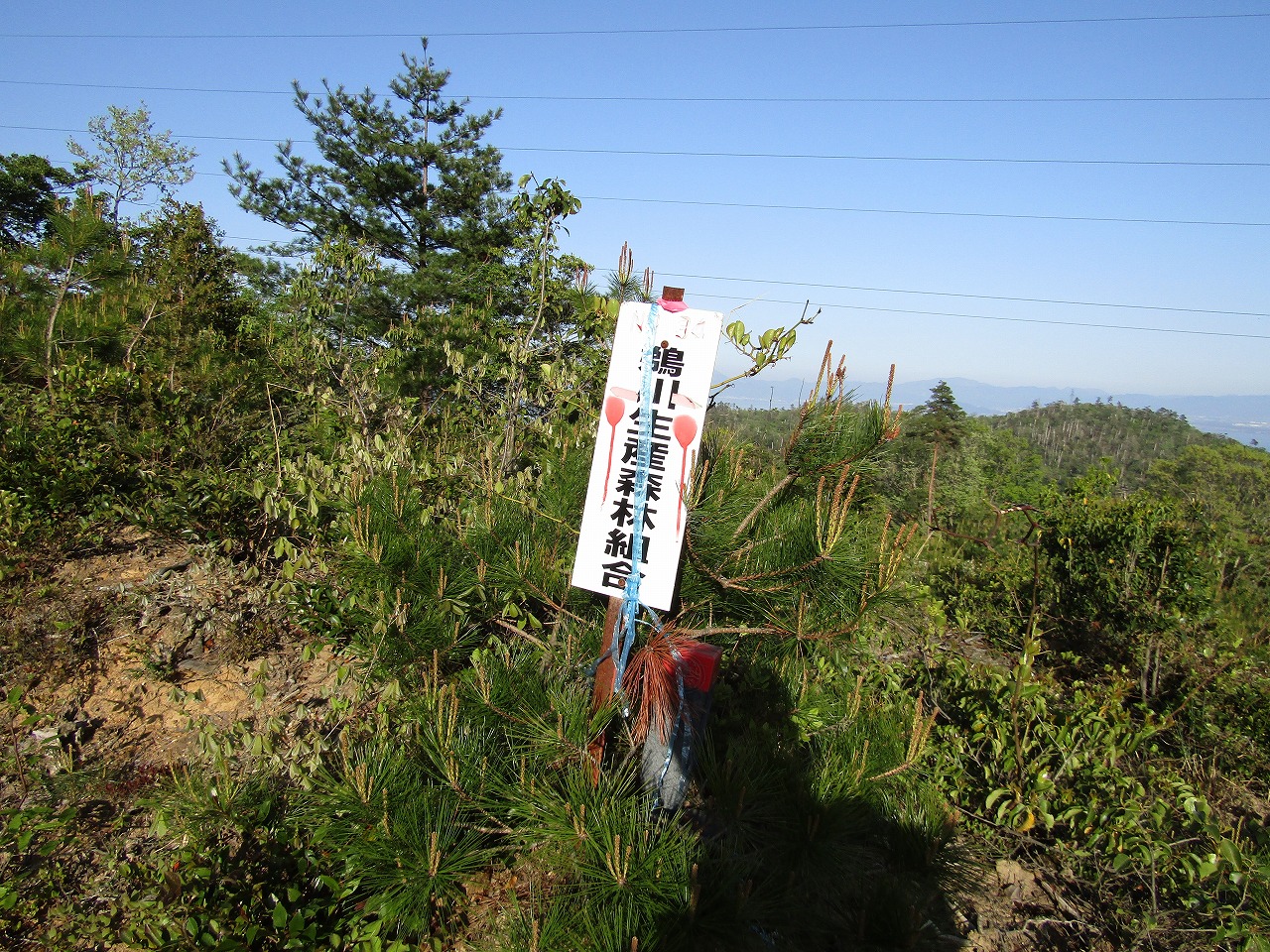 鵜川生産森林組合の看板、N0,34