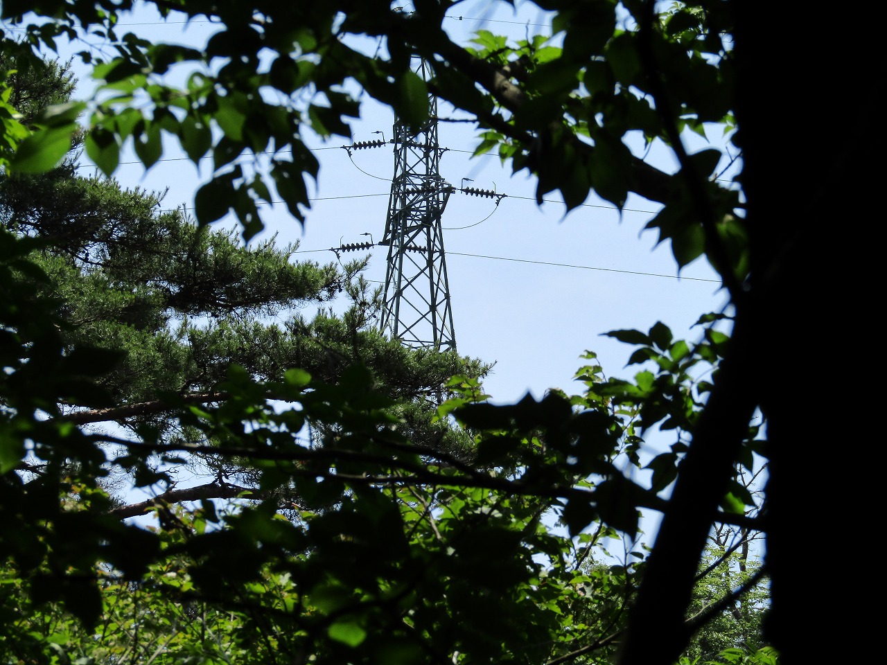 鵜川生産森林組合の看板、N0,57の所から鉄塔